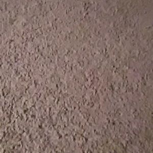 Meet your Posher, Hailey